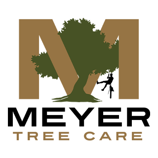 Tree Services In Oshkosh WI - Meyer Tree Care LLC in Oshkosh WI